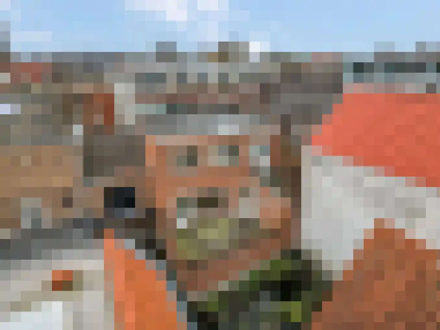 Damstraat 7 a Tiel thumbnail 5