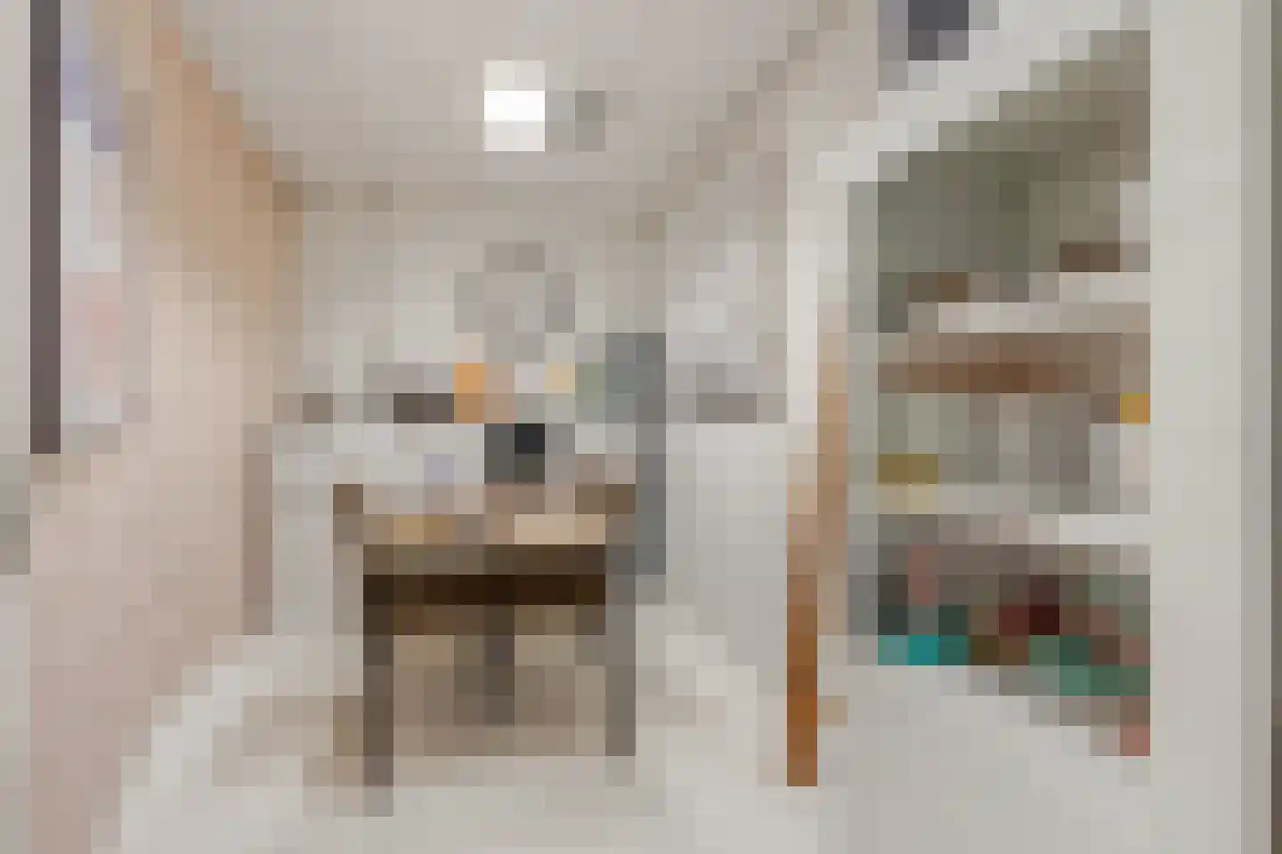Damstraat 7 a Tiel thumbnail 54