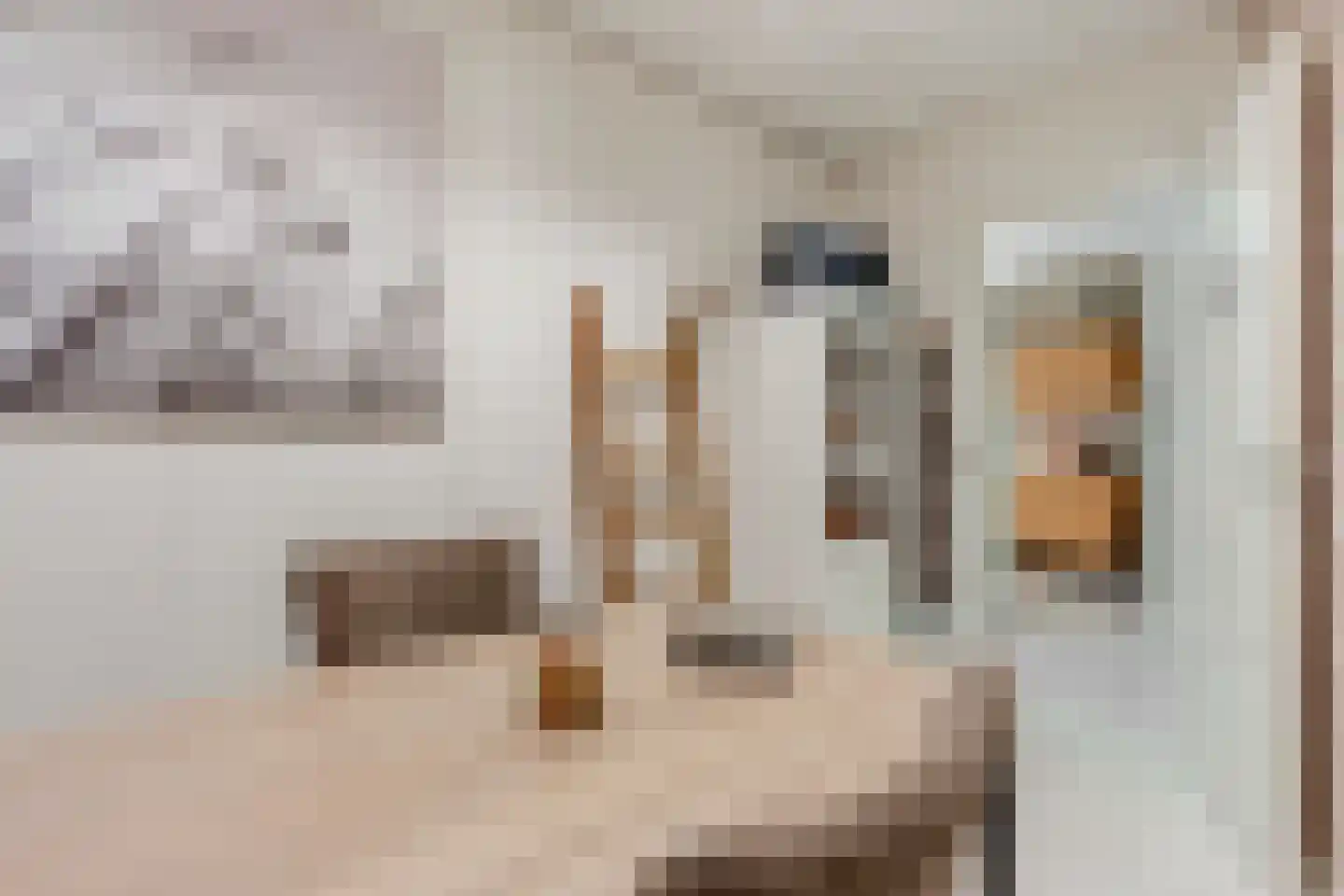 Damstraat 7 a Tiel thumbnail 55