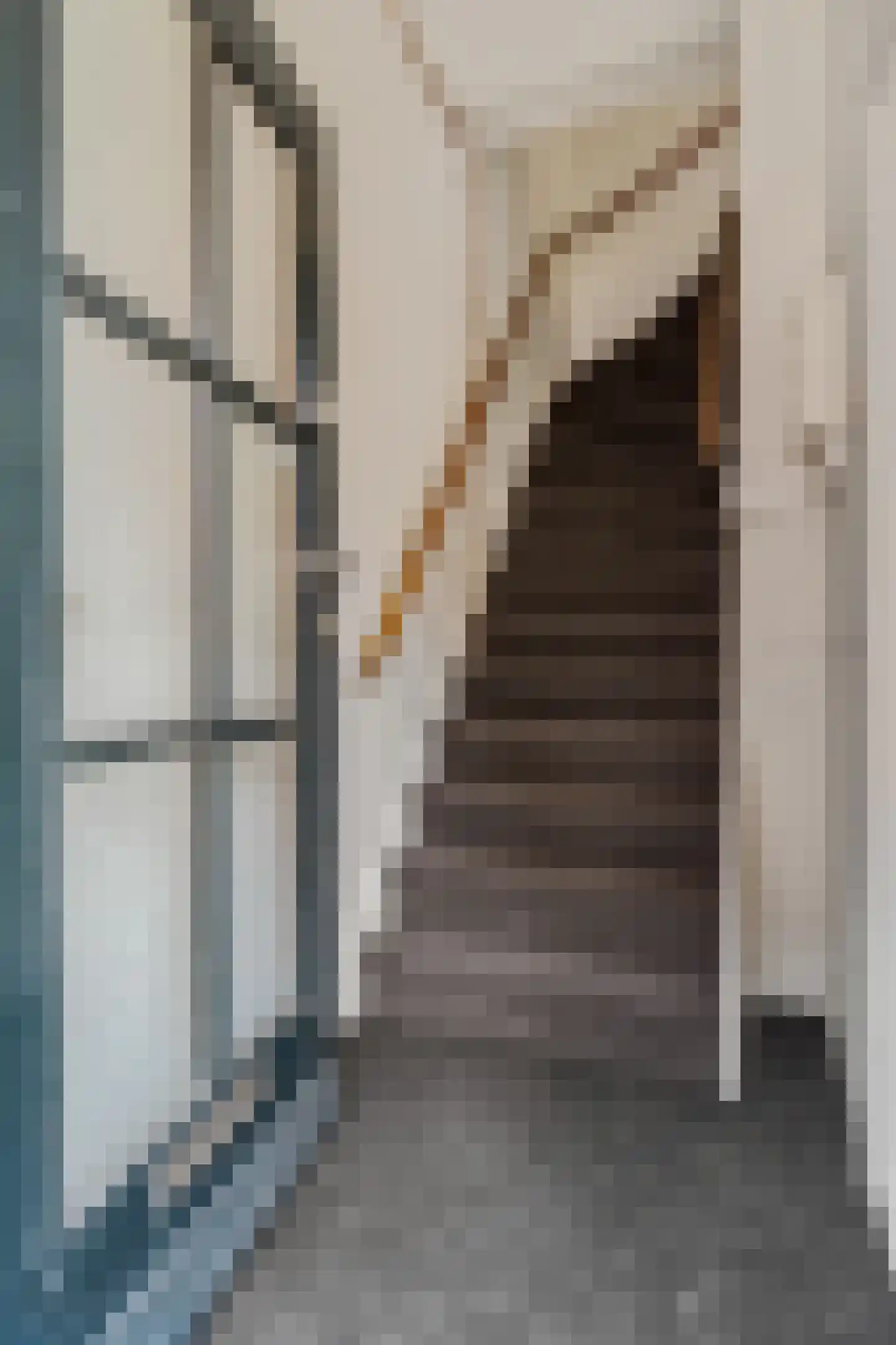 Damstraat 7 a Tiel thumbnail 7