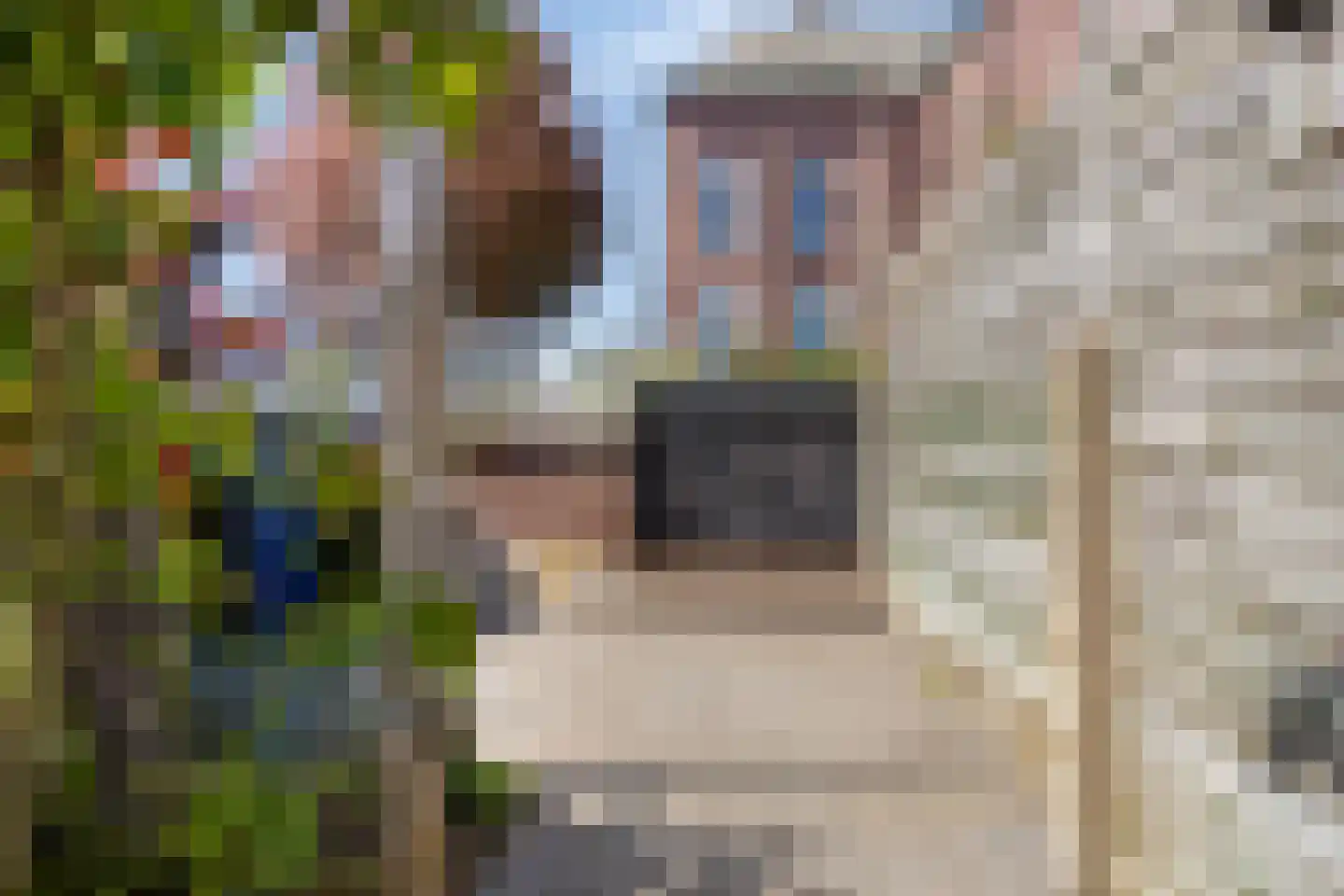 Damstraat 7 Aalten thumbnail 6