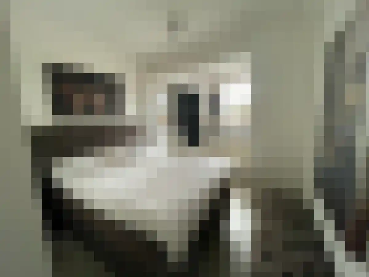 Damstraat 71 Roosendaal thumbnail 6