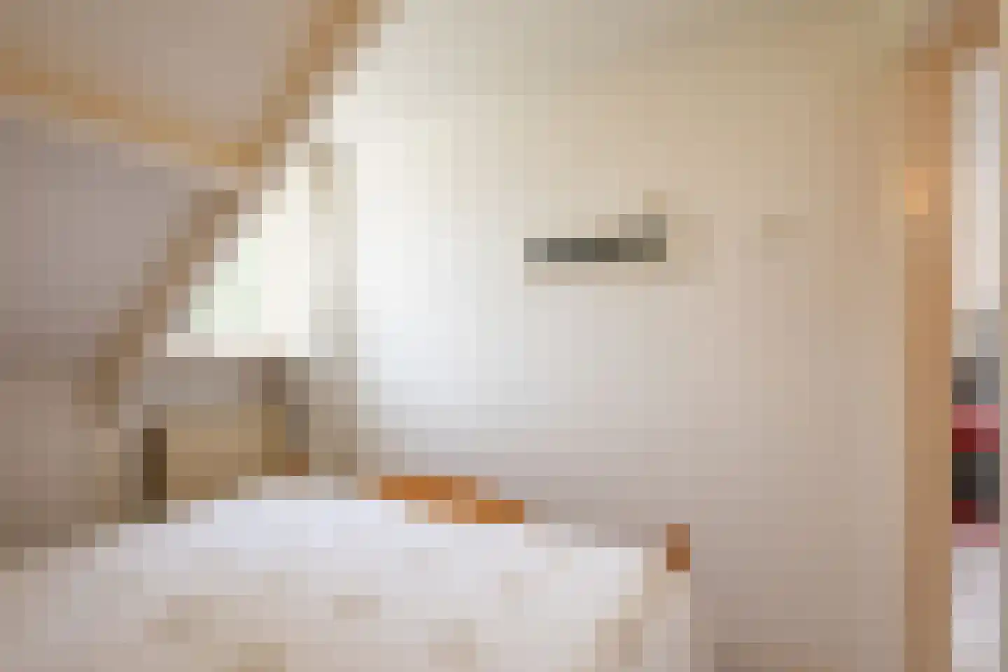 Damstraat 74 Yerseke thumbnail 34