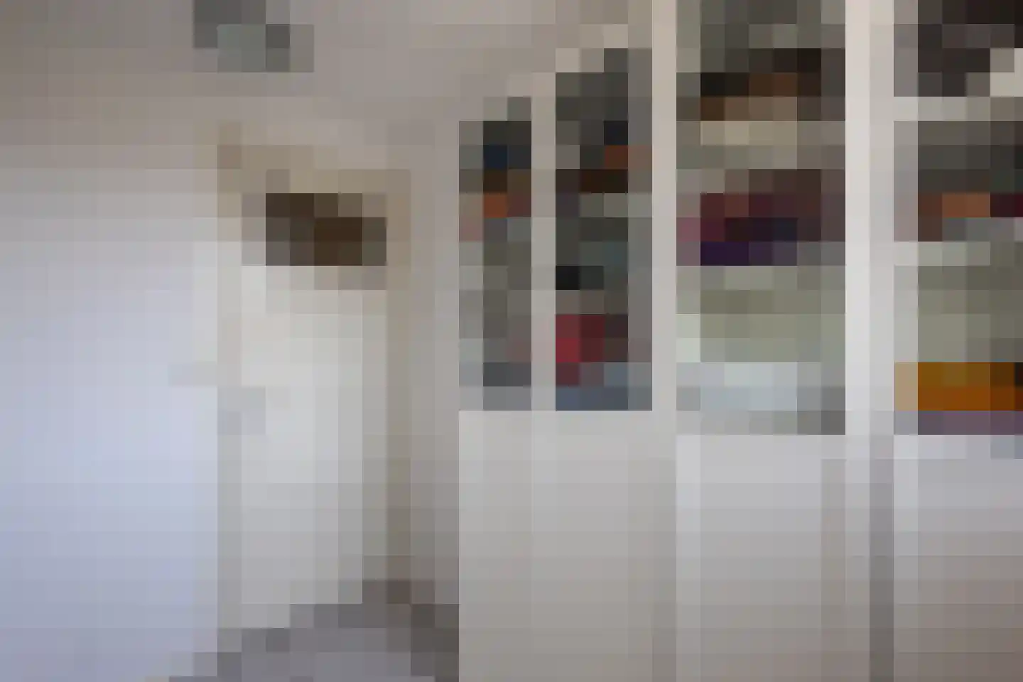 Damstraat 74 Yerseke thumbnail 40