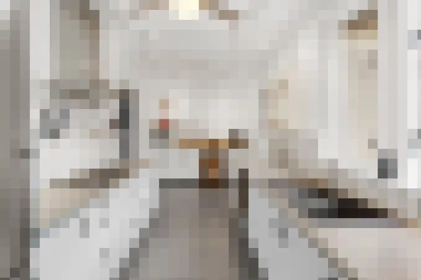 Damstraat 8 Roosendaal thumbnail 13