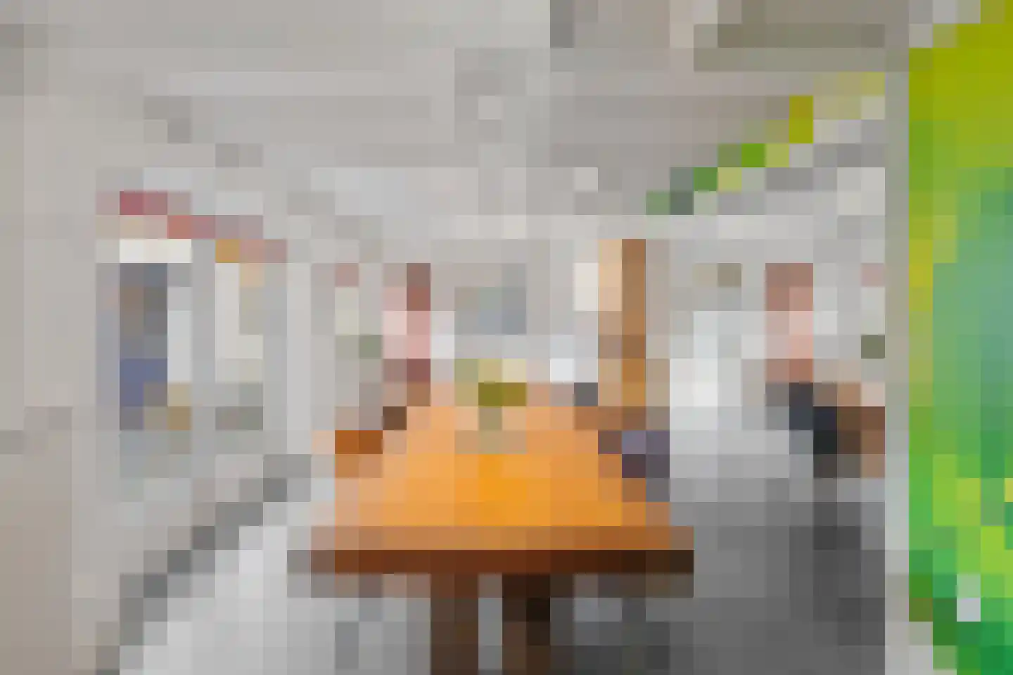 Damstraat 8 Roosendaal thumbnail 14