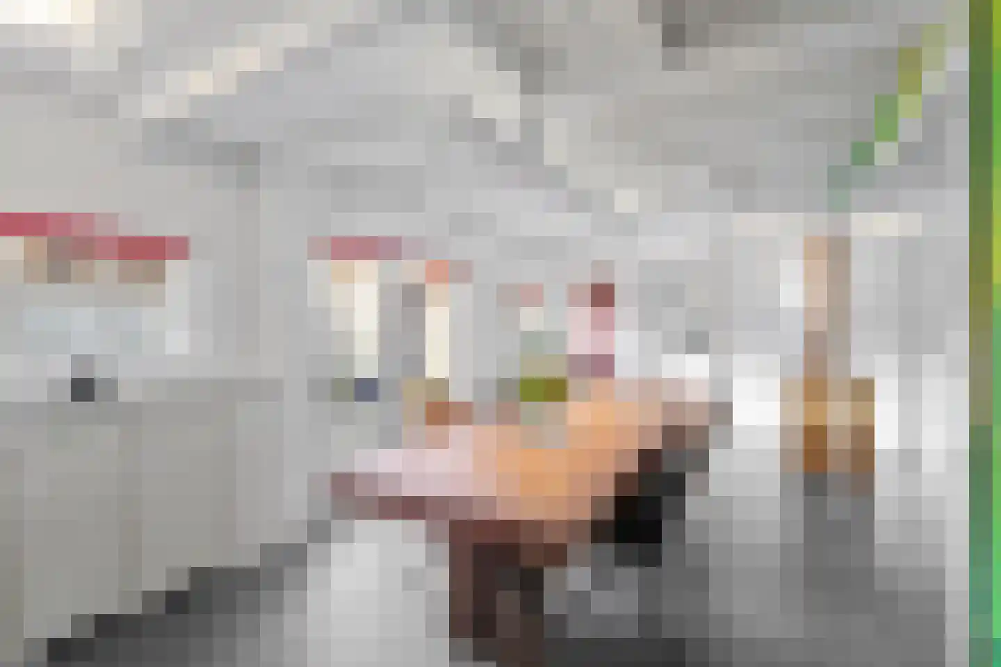 Damstraat 8 Roosendaal thumbnail 15