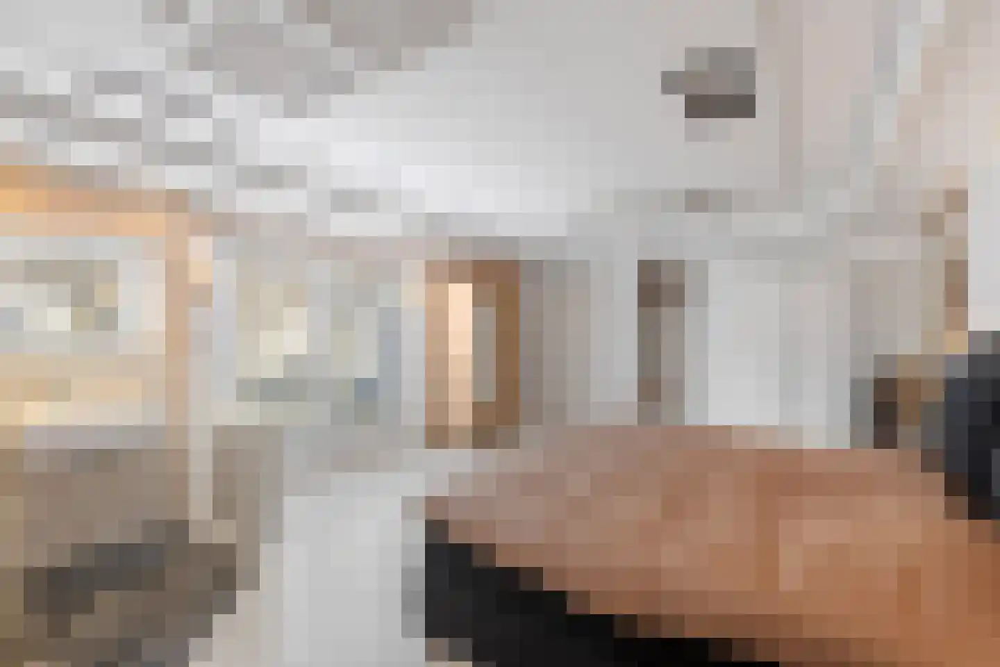Damstraat 8 Roosendaal thumbnail 18
