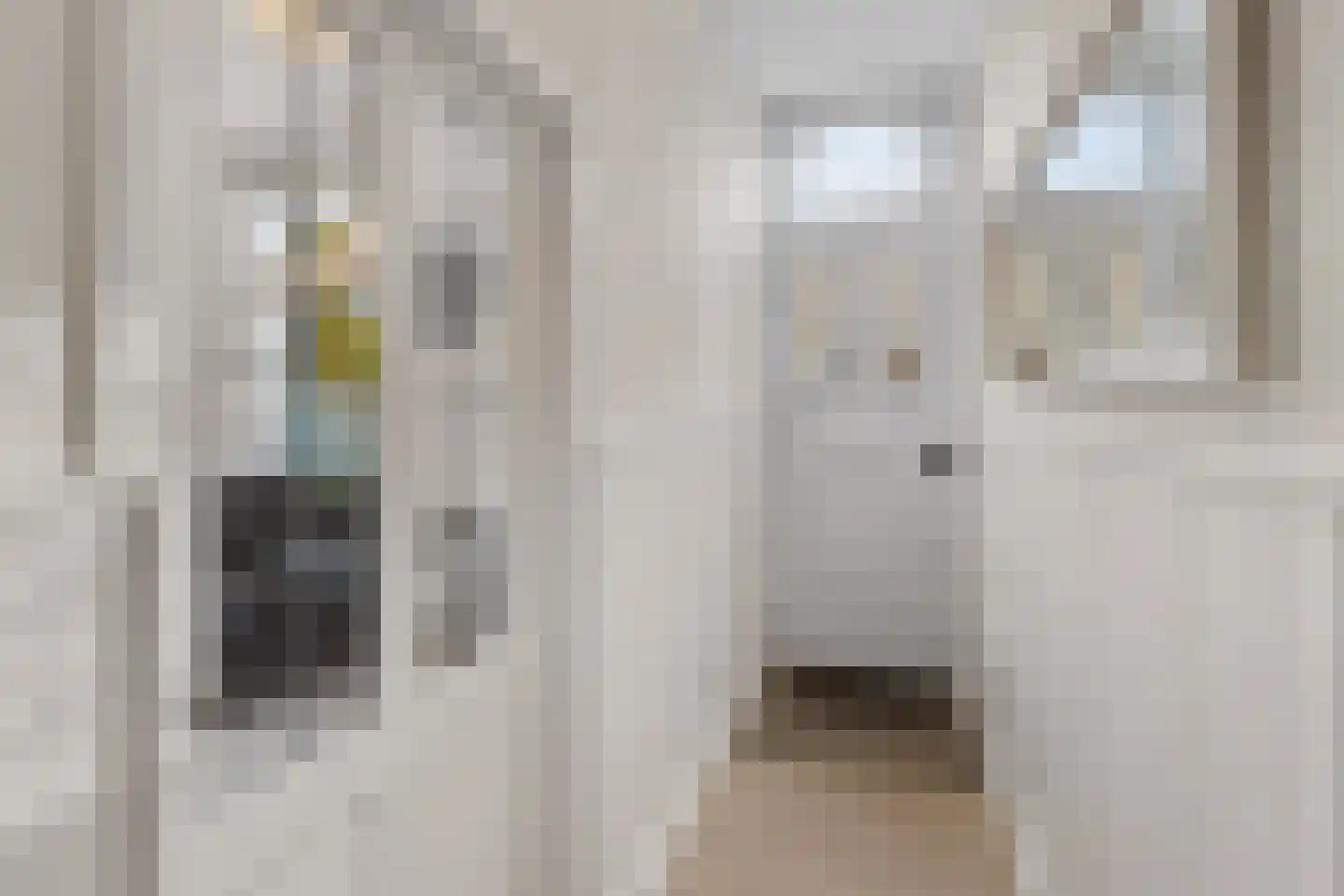 Damstraat 8 Roosendaal thumbnail 23