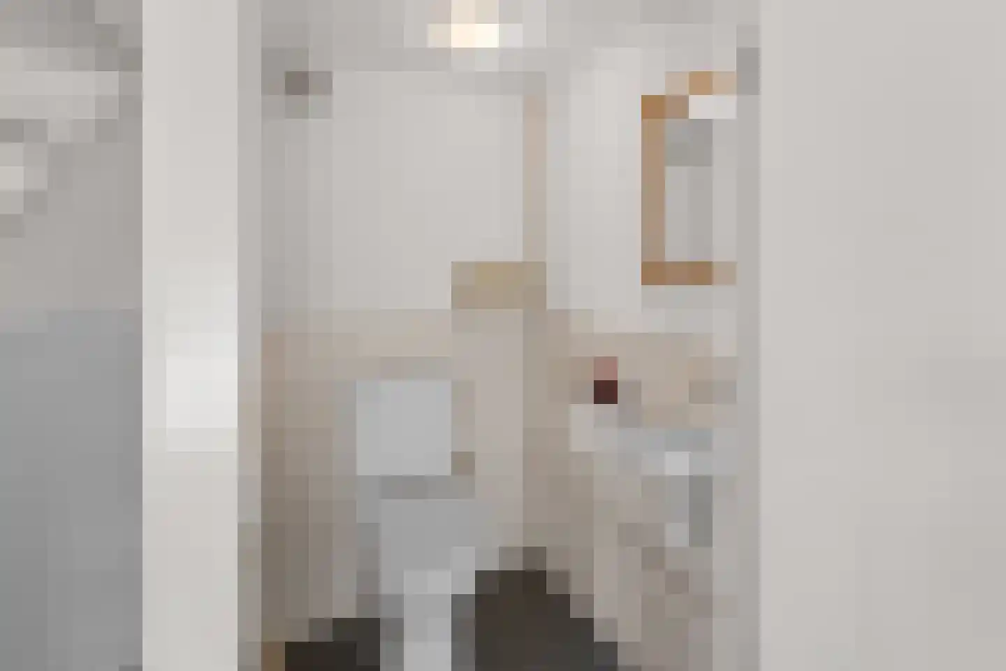 Damstraat 8 Roosendaal thumbnail 25