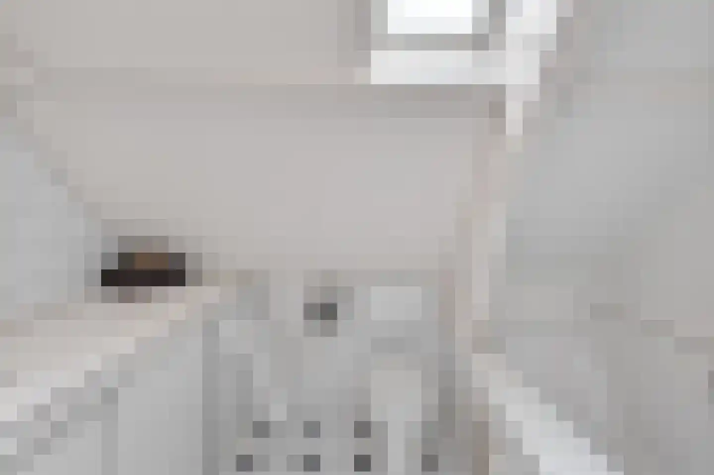 Damstraat 8 Roosendaal thumbnail 30