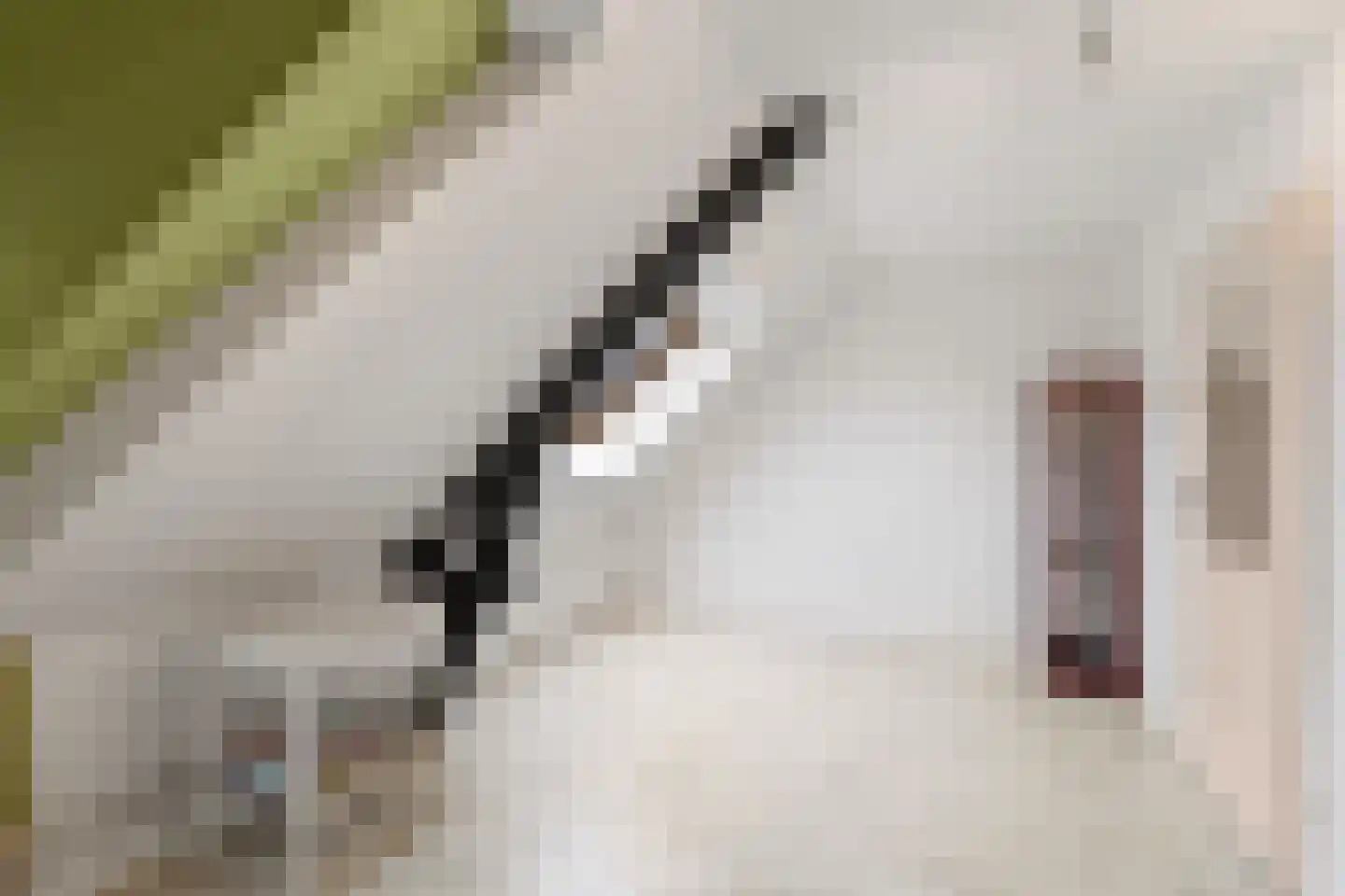 Damstraat 8 Roosendaal thumbnail 37