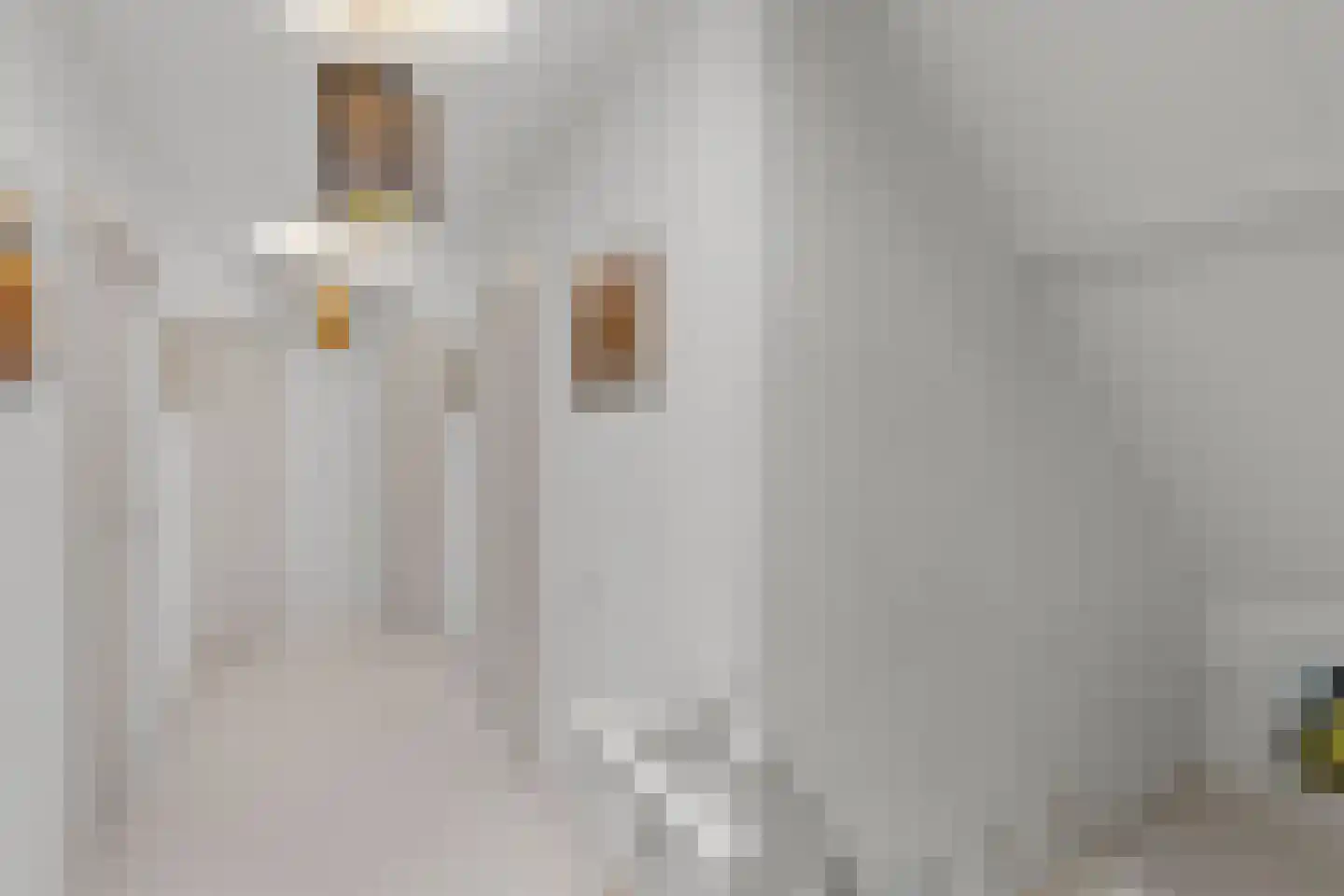Damstraat 8 Roosendaal thumbnail 39