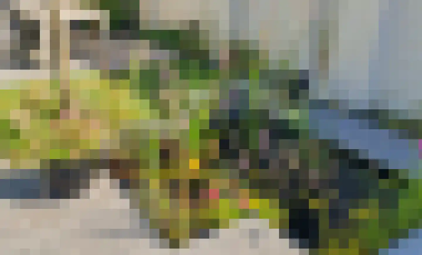 Damstraat 8 Roosendaal thumbnail 45