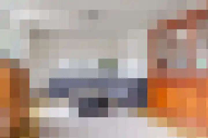Damstraat 8 Zetten thumbnail 11