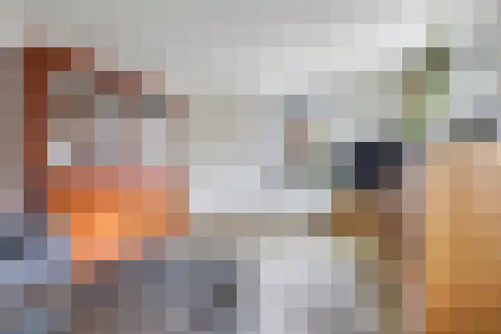 Damstraat 8 Zetten thumbnail 12