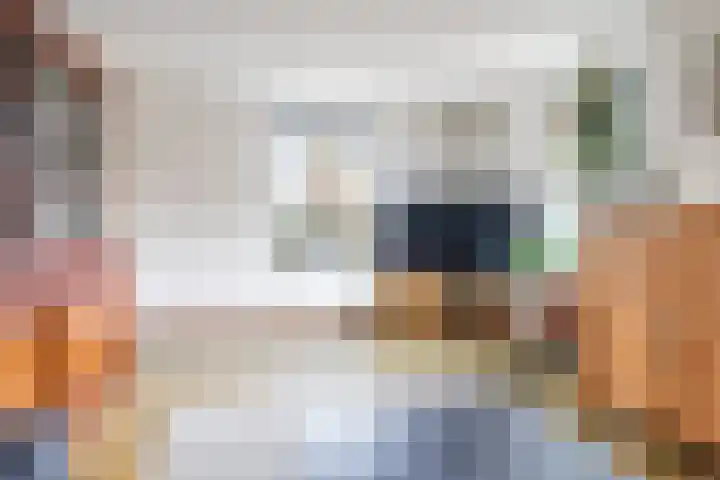 Damstraat 8 Zetten thumbnail 13