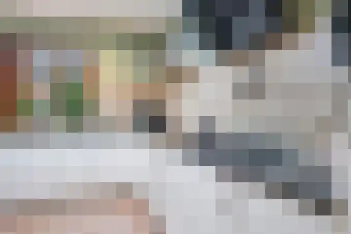 Damstraat 8 Zetten thumbnail 17