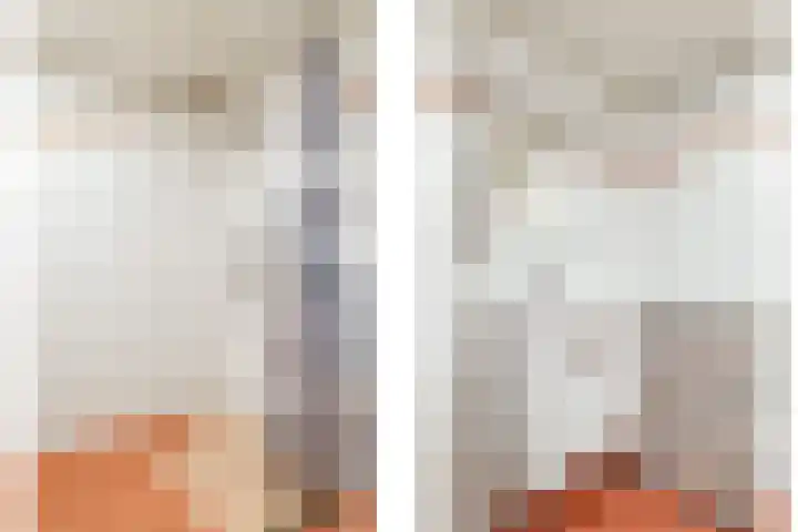 Damstraat 8 Zetten thumbnail 27