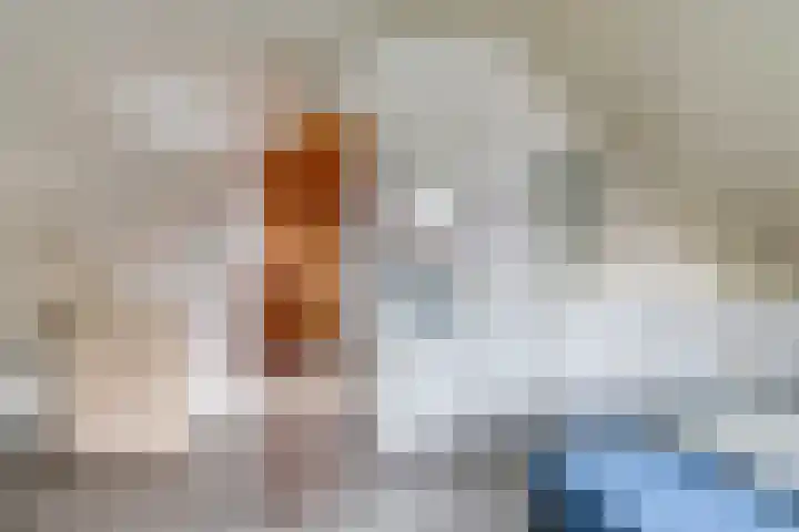 Damstraat 8 Zetten thumbnail 33