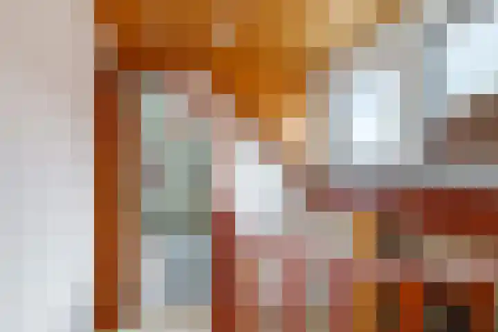Damstraat 8 Zetten thumbnail 34