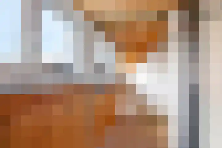 Damstraat 8 Zetten thumbnail 36