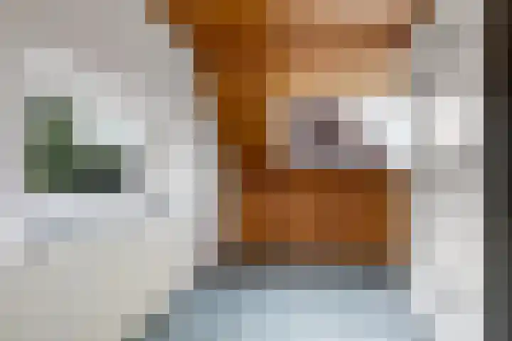 Damstraat 8 Zetten thumbnail 38