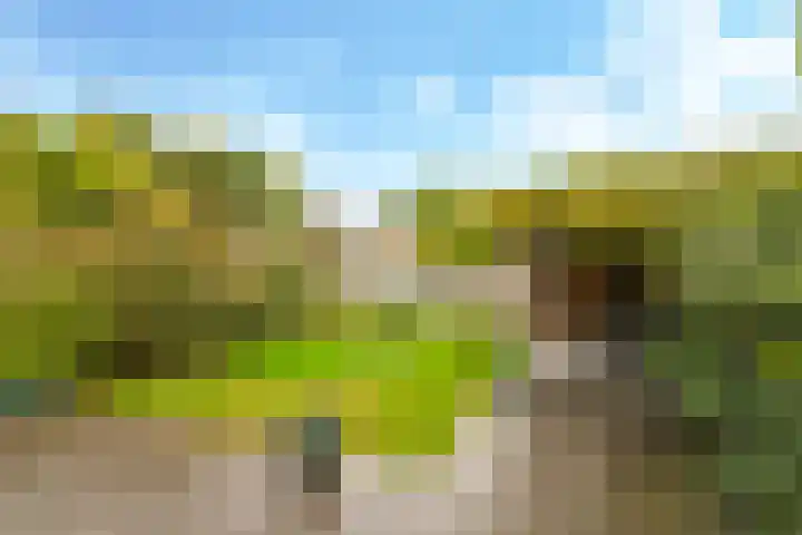 Damstraat 8 Zetten thumbnail 41