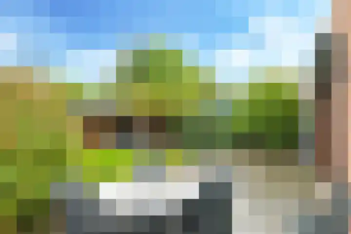Damstraat 8 Zetten thumbnail 42
