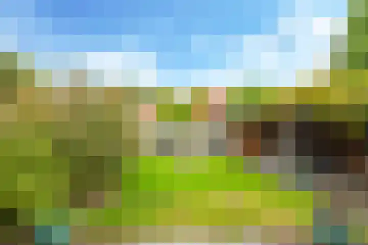 Damstraat 8 Zetten thumbnail 43