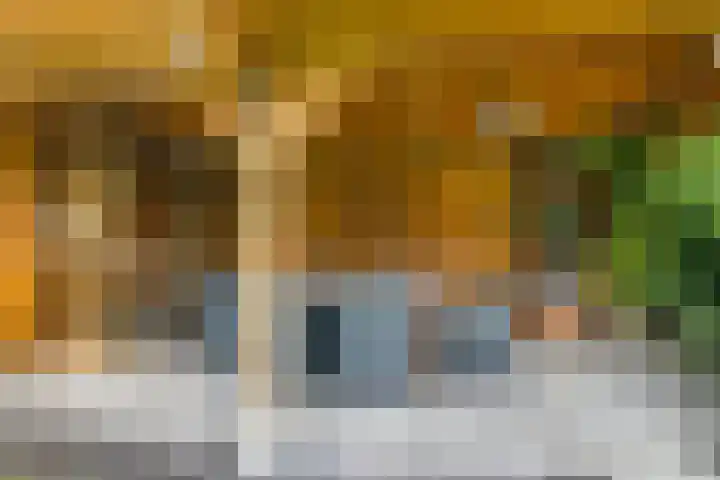 Damstraat 8 Zetten thumbnail 46