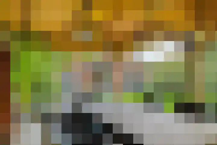 Damstraat 8 Zetten thumbnail 49