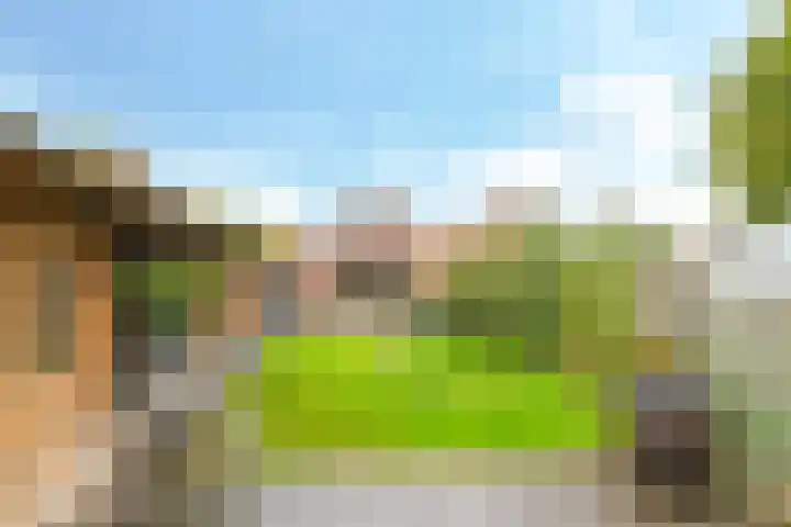 Damstraat 8 Zetten thumbnail 50