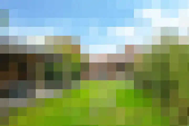 Damstraat 8 Zetten thumbnail 52