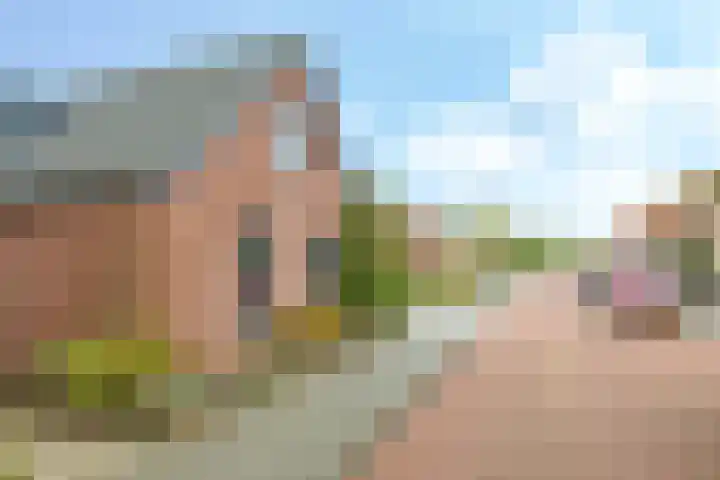 Damstraat 8 Zetten thumbnail 66