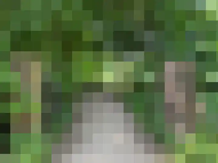 Damstraat 8 Zetten thumbnail 73