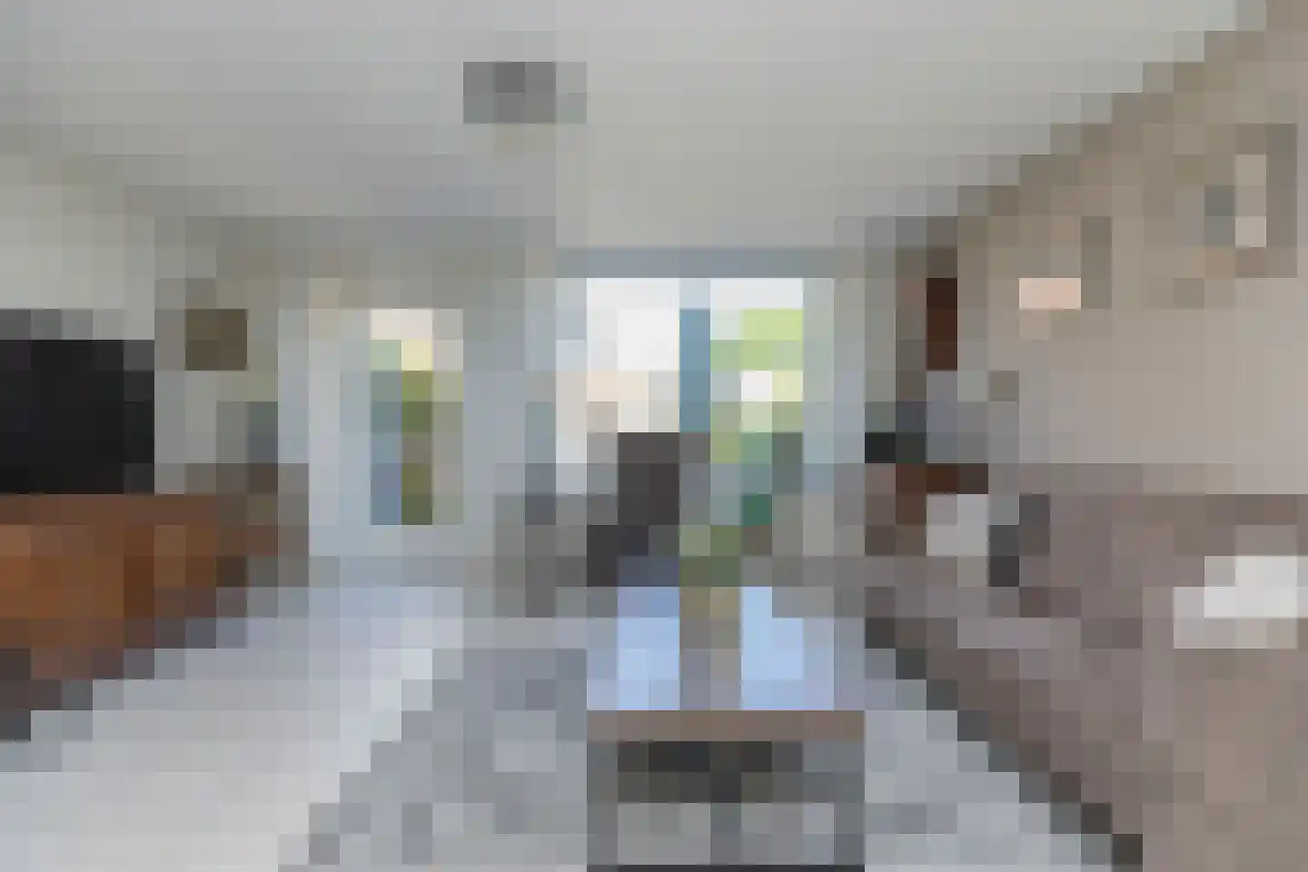Damstraat 89 D Dordrecht thumbnail 9
