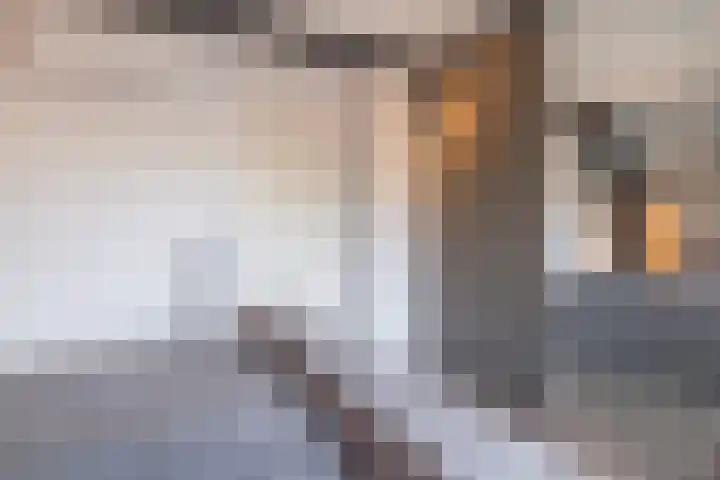 Damstraat 89 Yerseke thumbnail 22