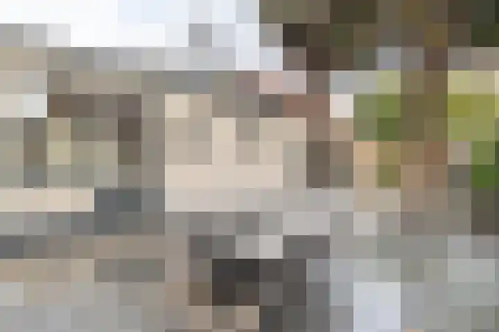 Damstraat 89 Yerseke thumbnail 29