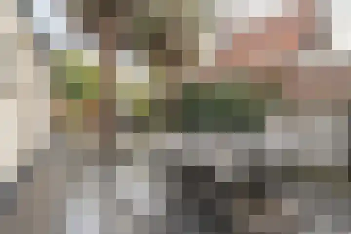 Damstraat 89 Yerseke thumbnail 30