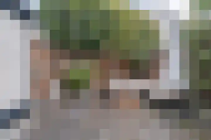 Damstraat 89 Yerseke thumbnail 31