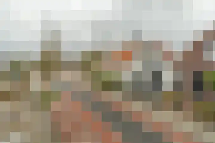 Damstraat 89 Yerseke thumbnail 6