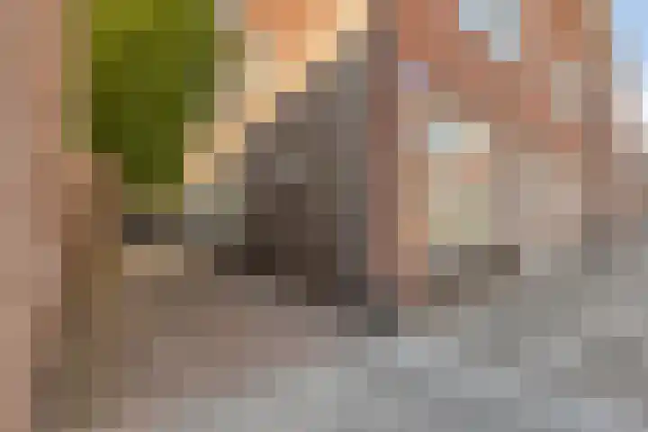 Damstraat 93 Roosendaal thumbnail 22