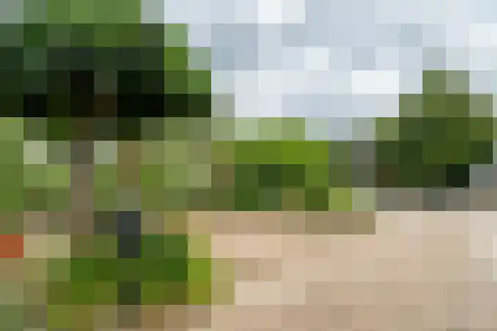 Damstraat 96 Yerseke thumbnail 10