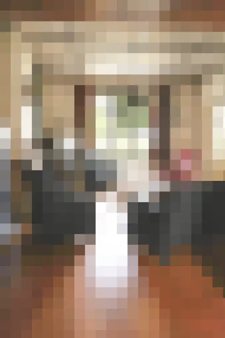 Damstraat 96 Yerseke thumbnail 16
