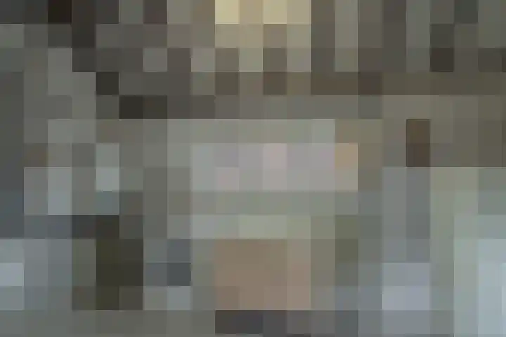 Damstraat 96 Yerseke thumbnail 23