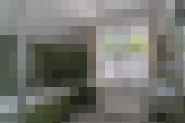 Damstraat 96 Yerseke thumbnail 28
