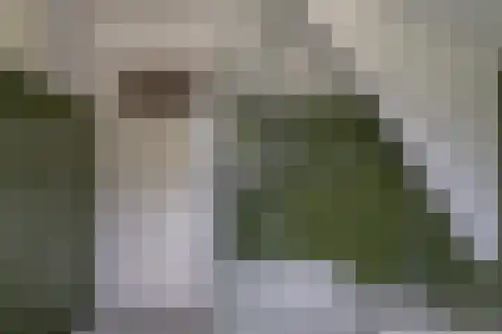 Damstraat 96 Yerseke thumbnail 29