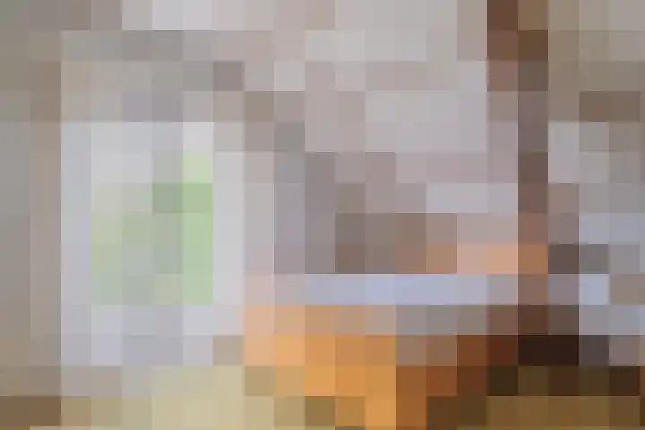 Damstraat 96 Yerseke thumbnail 31