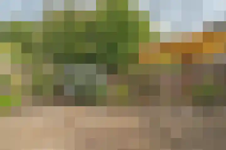 Damstraat 96 Yerseke thumbnail 41